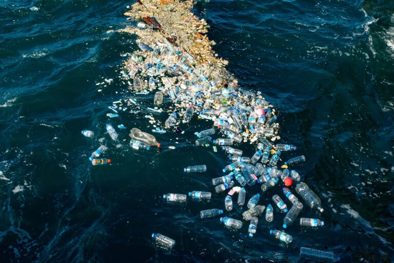plastic water bottles pollution floating in water