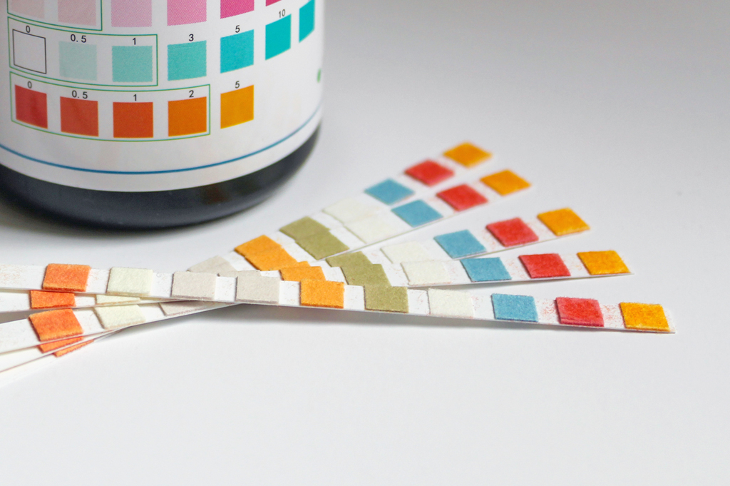 At-home water test kit strips